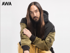 Steve Aoki