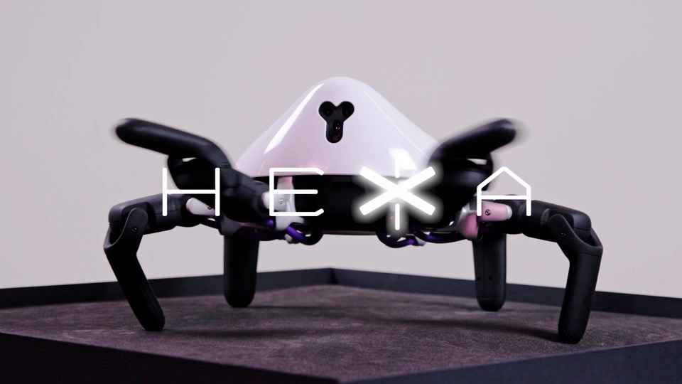 6足歩行ロボット「HEXA」